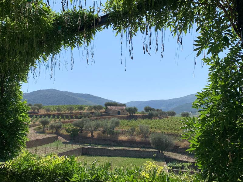 Das Flusstal Douro in Portugal